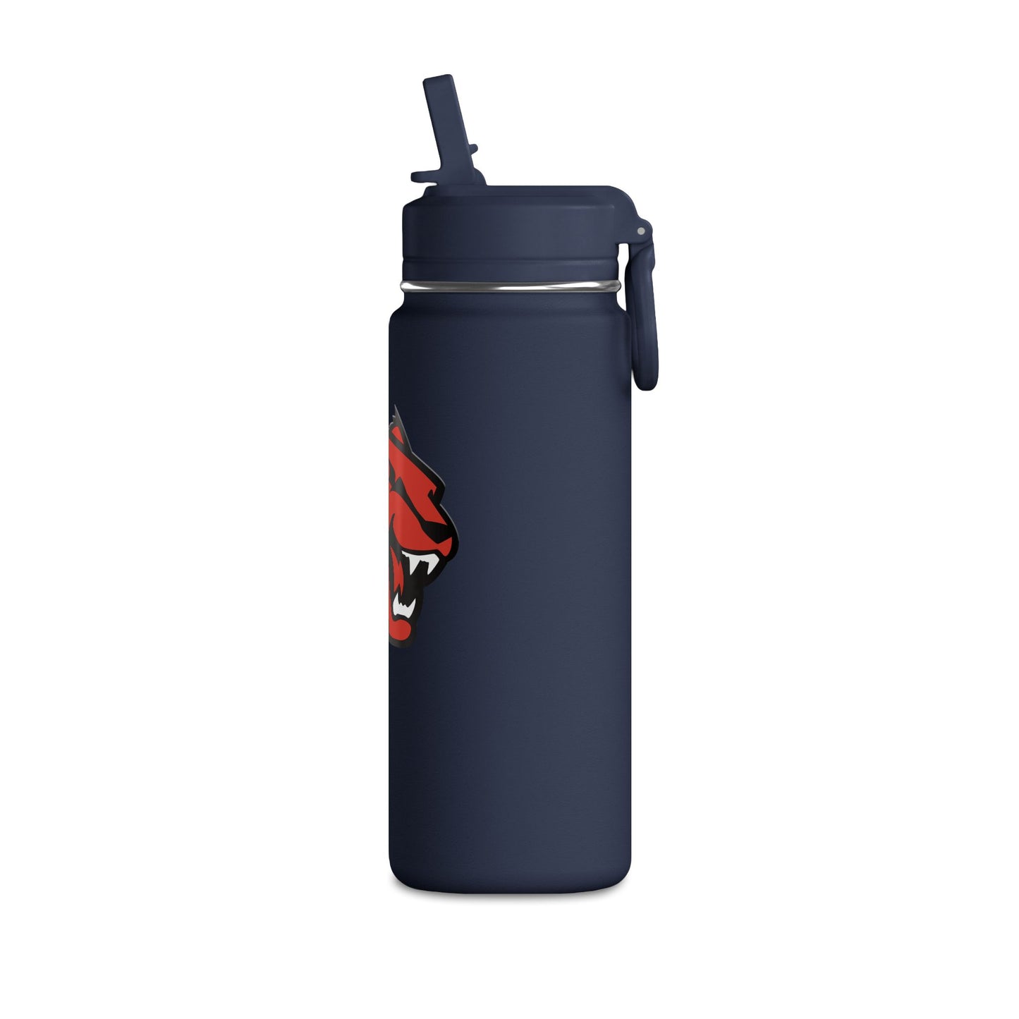 Mini Water Bottle, 20oz