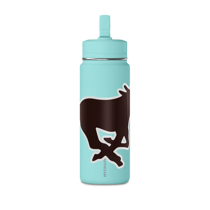 Mini Water Bottle, 20oz