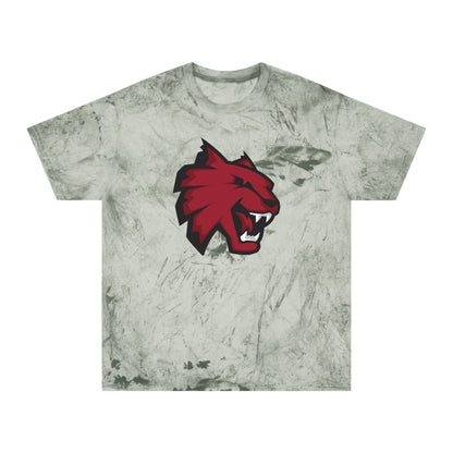 Color Blast School Spirit Tee