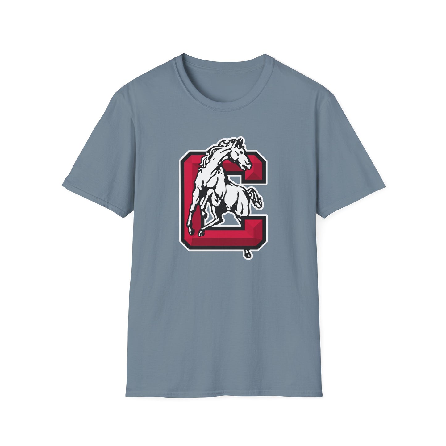 Softstyle T-Shirt