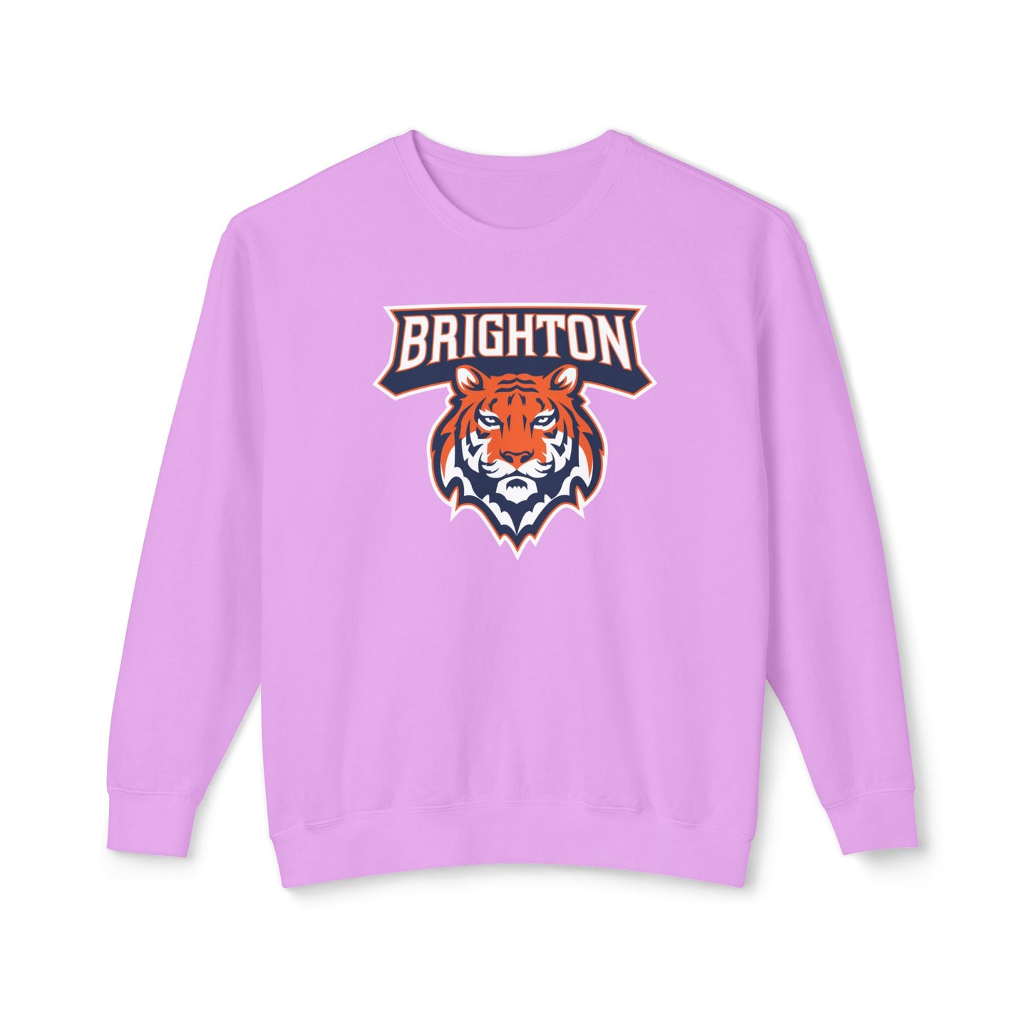 Lightweight Crewneck Sweatshirt