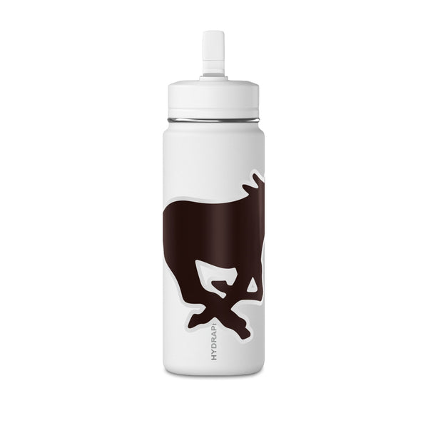 Mini Water Bottle, 20oz