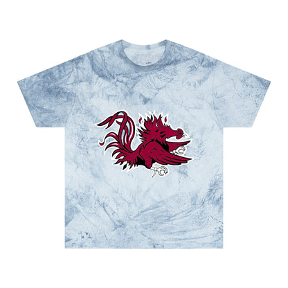 Color Blast School Spirit Tee