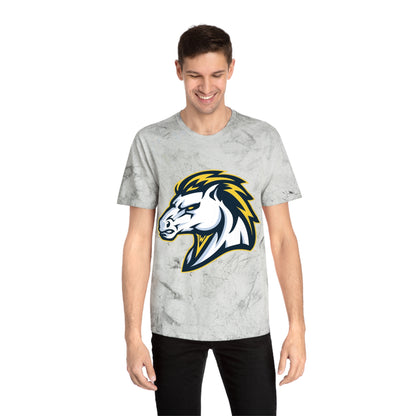 Color Blast School Spirit Tee