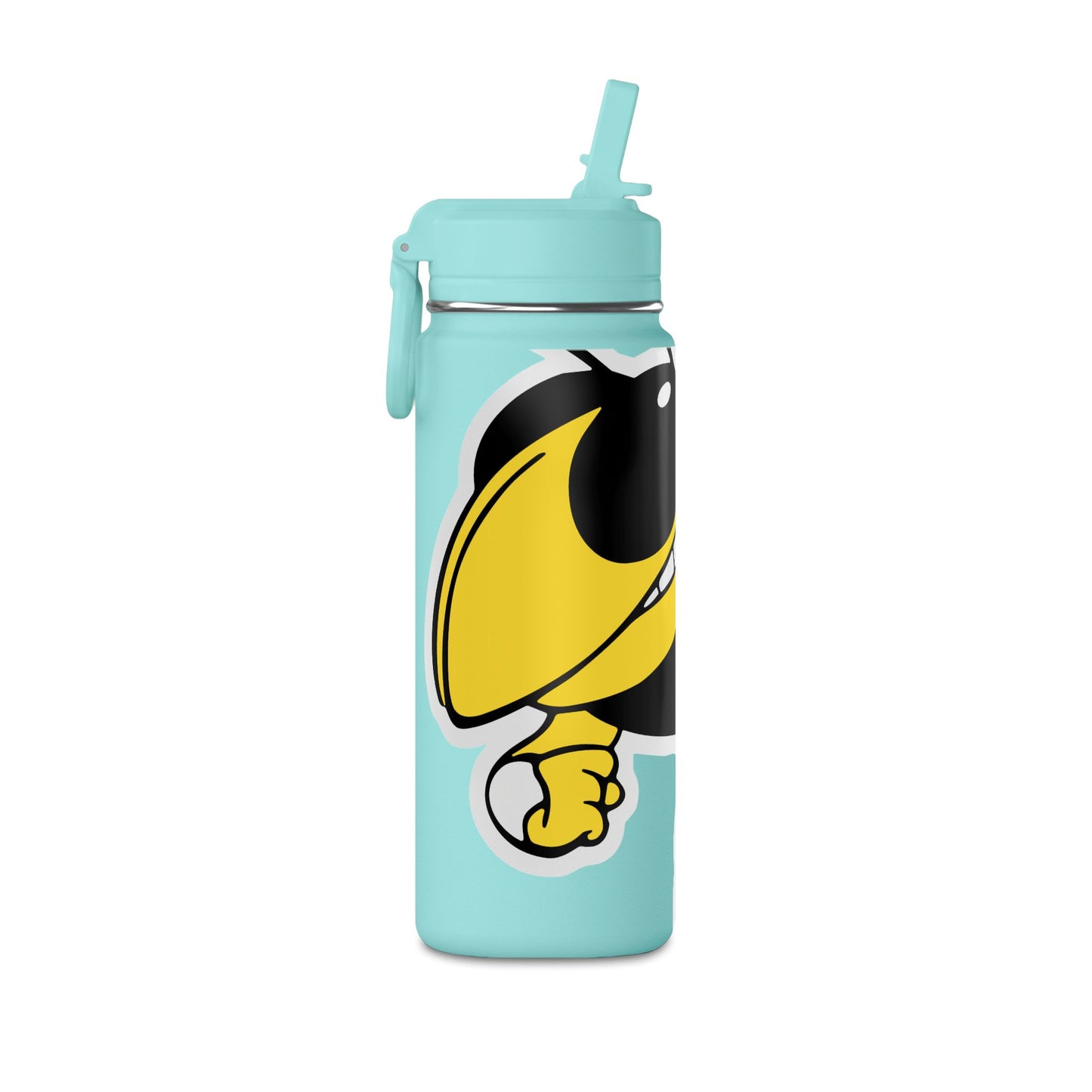 Mini Water Bottle, 20oz