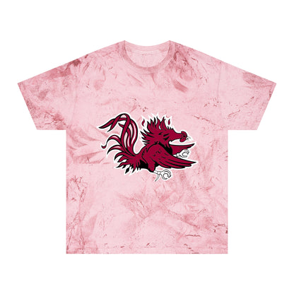 Color Blast School Spirit Tee