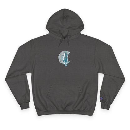 Champion Powerblend Fleece Pullover Hoodie
