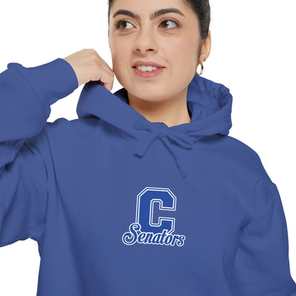 Heavyweight Garment-Dyed Hoodie