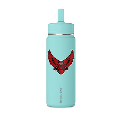Mini Water Bottle, 20oz