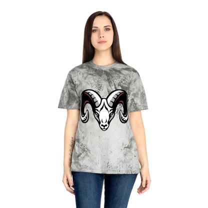 Color Blast School Spirit Tee