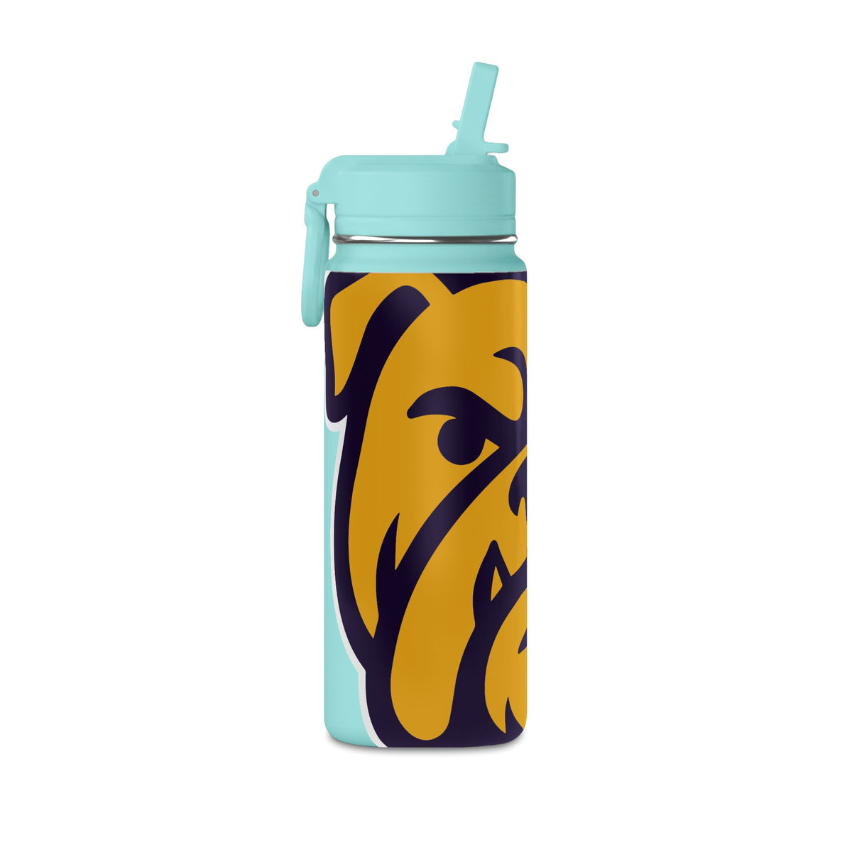 Mini Water Bottle, 20oz
