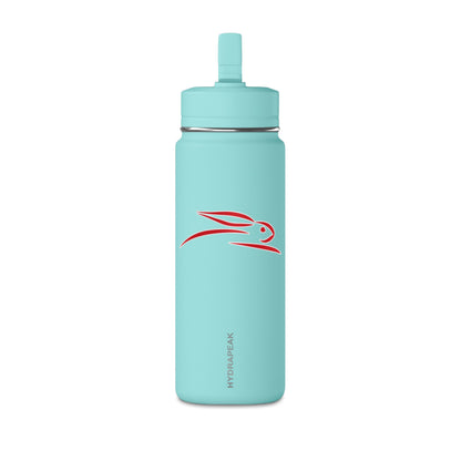Mini Water Bottle, 20oz