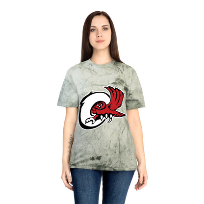 Color Blast School Spirit Tee