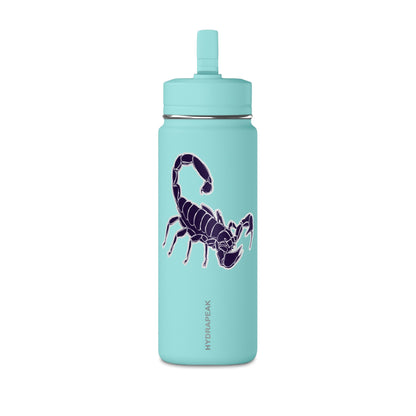 Mini Water Bottle, 20oz
