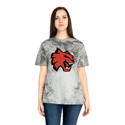 Color Blast School Spirit Tee