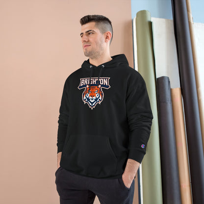Champion Powerblend Fleece Pullover Hoodie