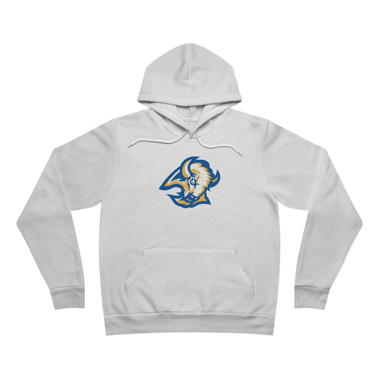 Sponge Fleece Pullover Hoodie