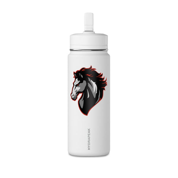 Mini Water Bottle, 20oz