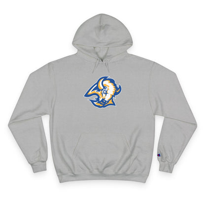 Champion Powerblend Fleece Pullover Hoodie