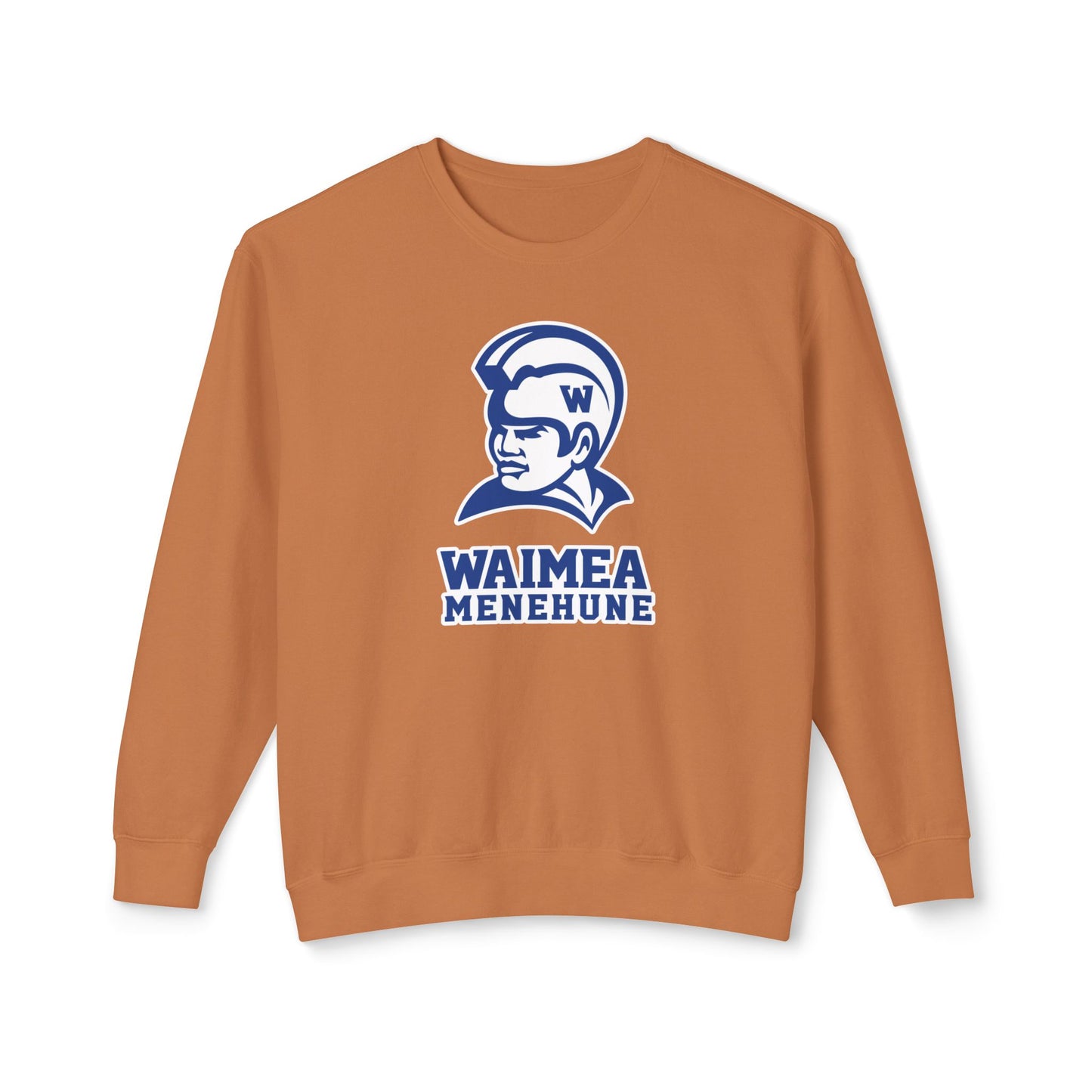 Lightweight Crewneck Sweatshirt