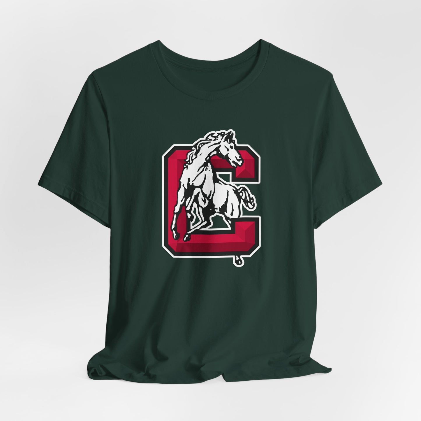 Jersey Short Sleeve Tee