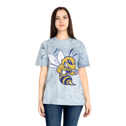 Color Blast School Spirit Tee