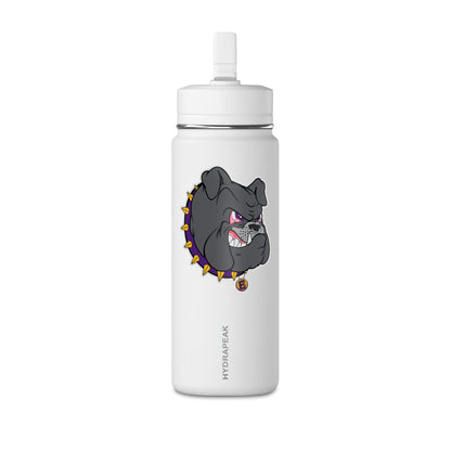 Mini Water Bottle, 20oz