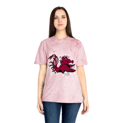 Color Blast School Spirit Tee