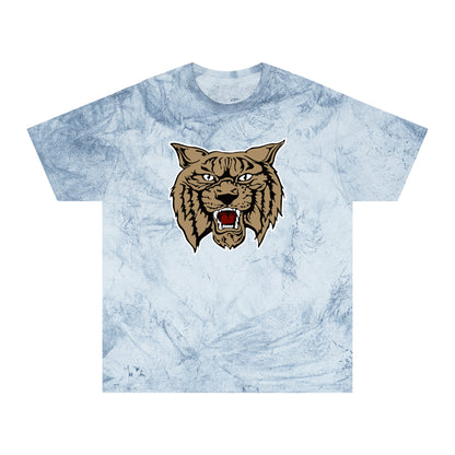 Color Blast School Spirit Tee