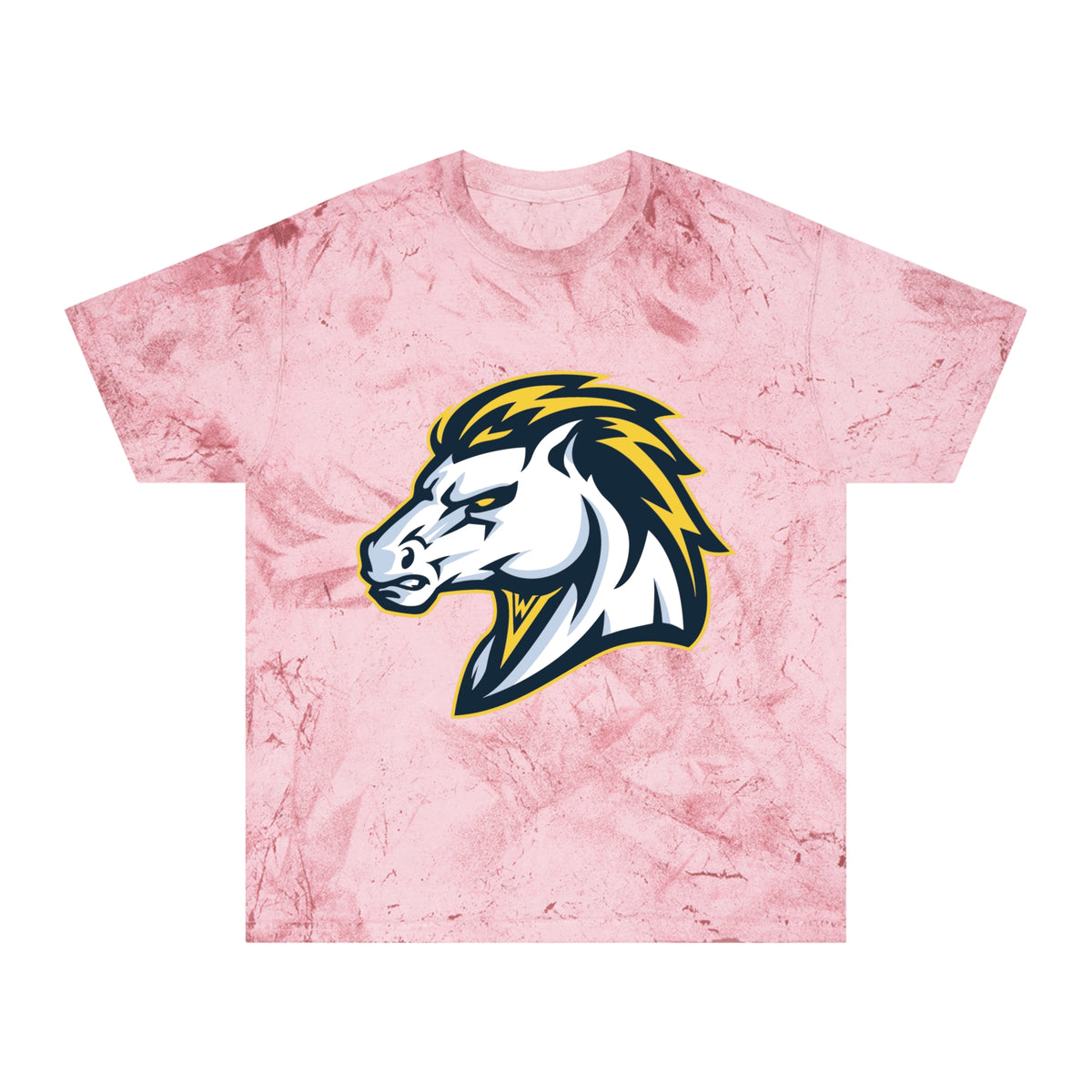 Color Blast School Spirit Tee