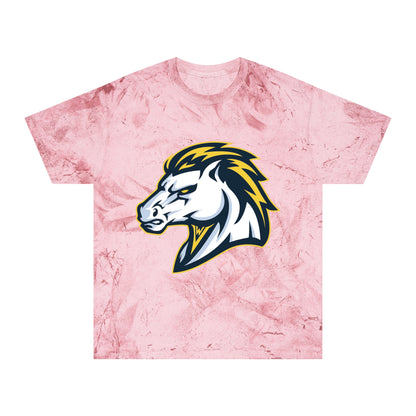 Color Blast School Spirit Tee