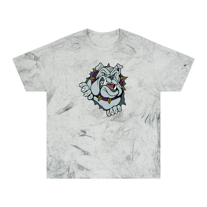Color Blast School Spirit Tee