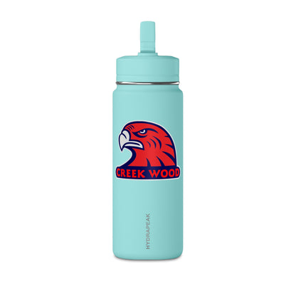 Mini Water Bottle, 20oz