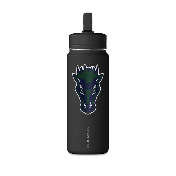 Mini Water Bottle, 20oz