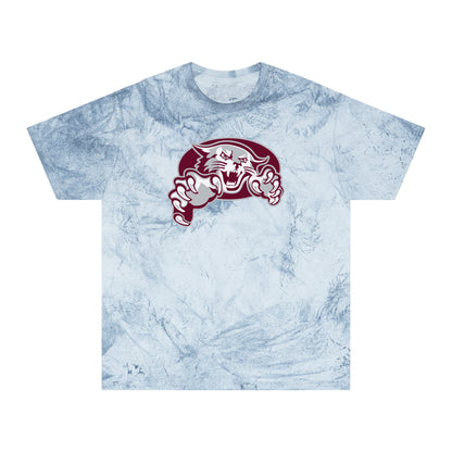 Color Blast School Spirit Tee