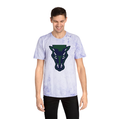 Color Blast School Spirit Tee