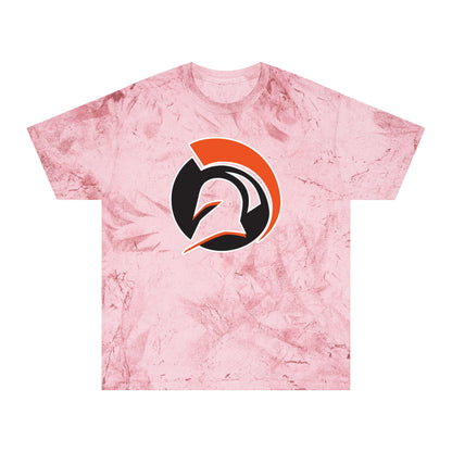 Color Blast School Spirit Tee