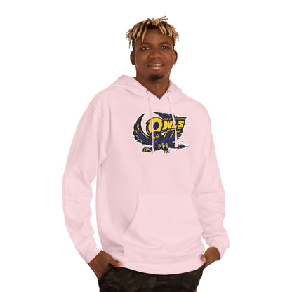 Midweight Pullover Hoodie