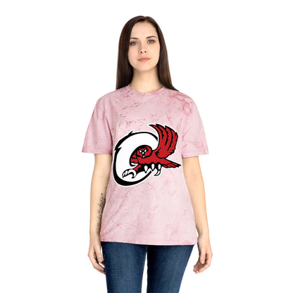Color Blast School Spirit Tee