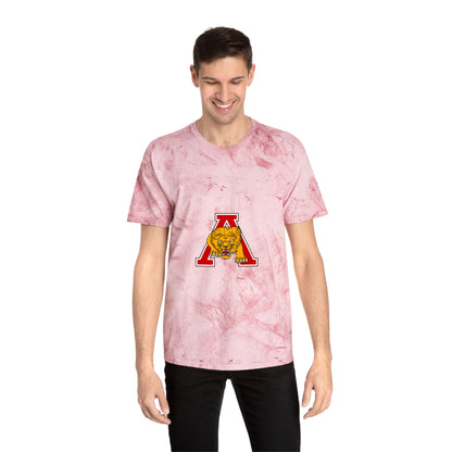 Color Blast School Spirit Tee