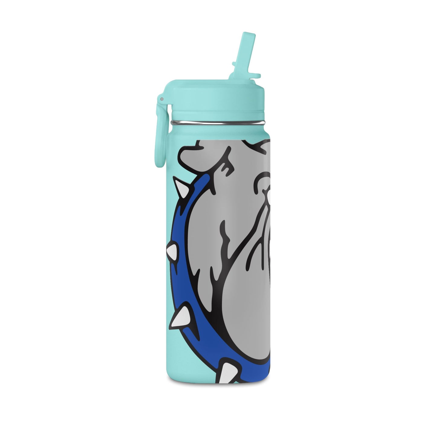 Mini Water Bottle, 20oz