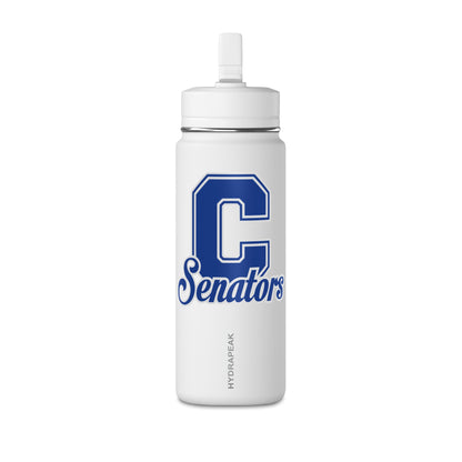 Mini Water Bottle, 20oz