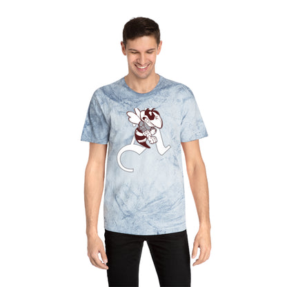 Color Blast School Spirit Tee