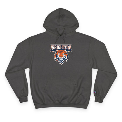 Champion Powerblend Fleece Pullover Hoodie