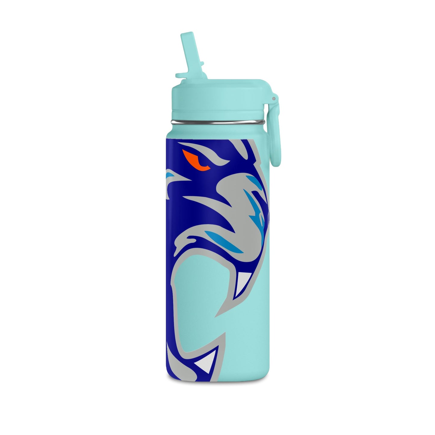 Mini Water Bottle, 20oz