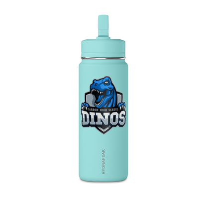 Mini Water Bottle, 20oz