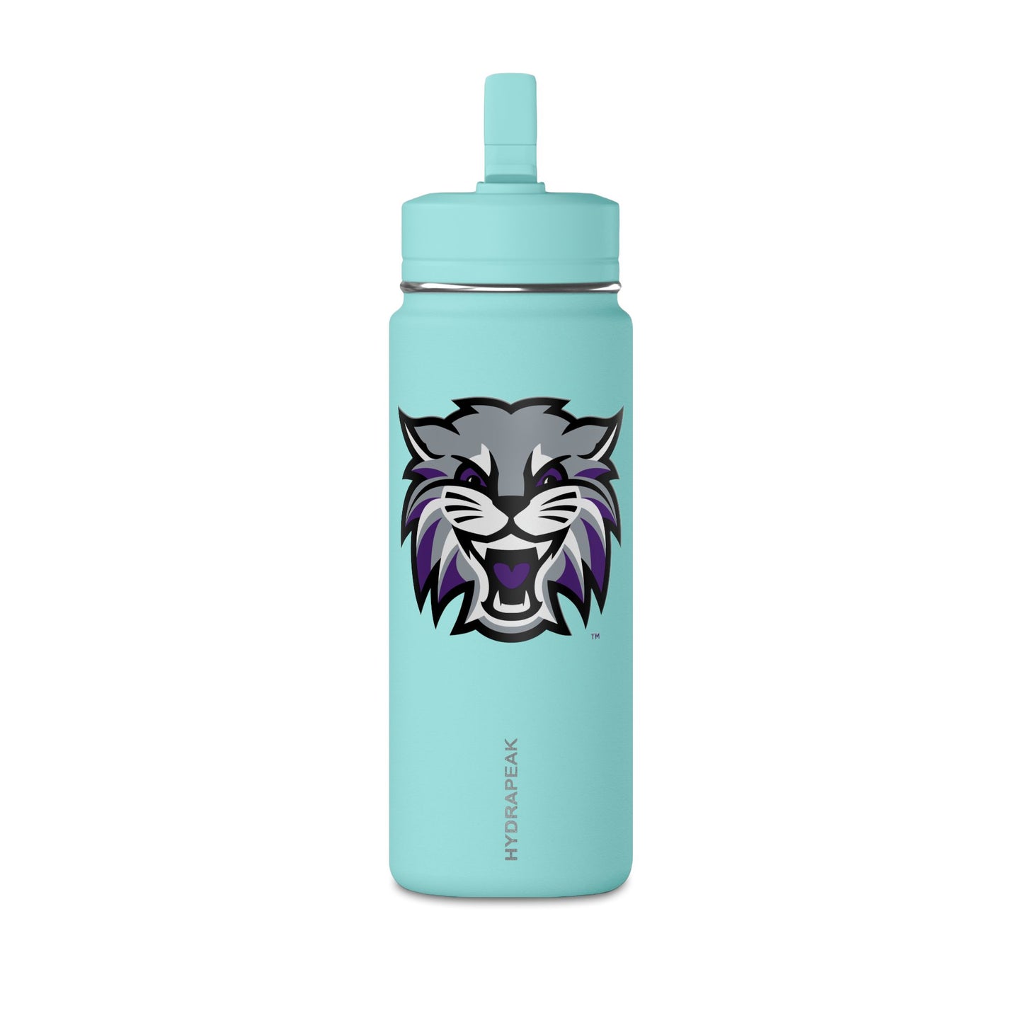 Mini Water Bottle, 20oz