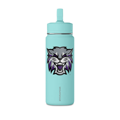 Mini Water Bottle, 20oz