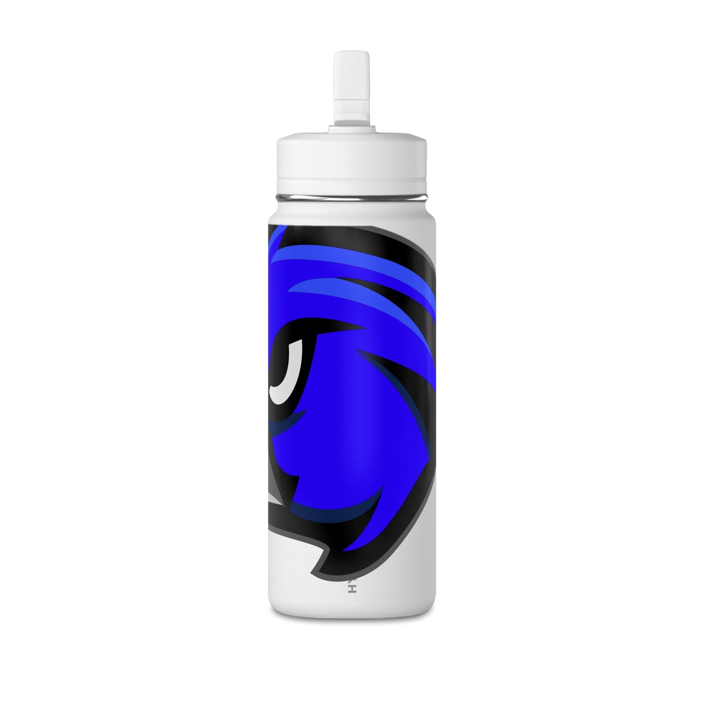 Mini Water Bottle, 20oz