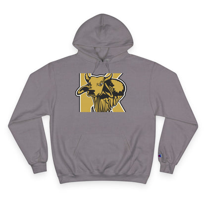 Champion Powerblend Fleece Pullover Hoodie